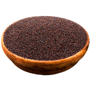 Black Mustard