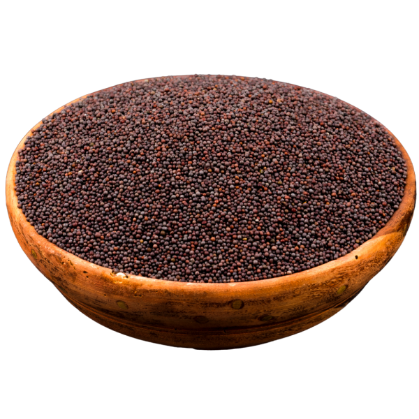 Black Mustard