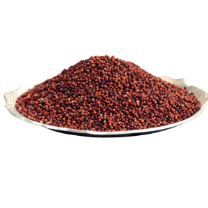 Ragi