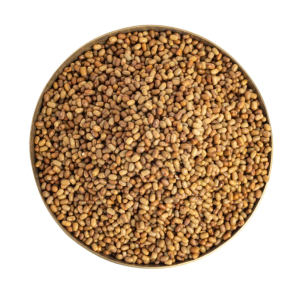 Moth Beans (Matki)