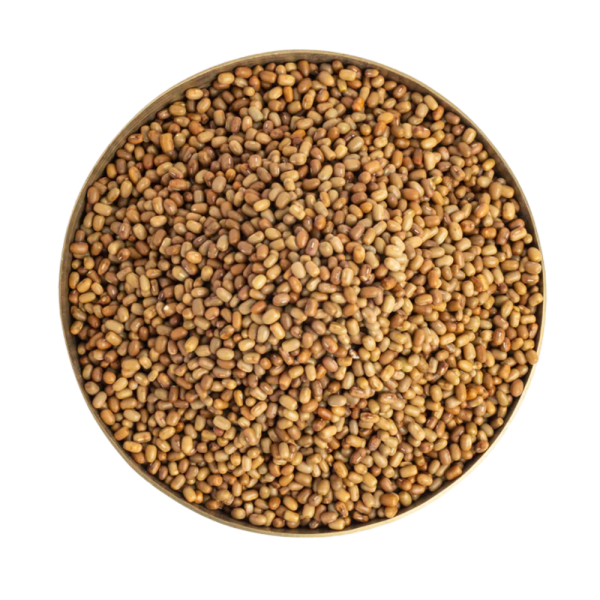 Moth Beans (Matki)