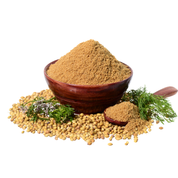 Coriander