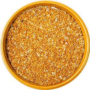 Proso Millets