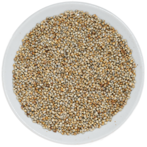 Pearl Millet (Bajra)