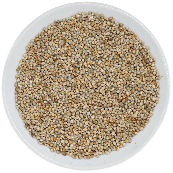 Pearl Millet (Bajra)
