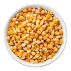 Maize (Corn)