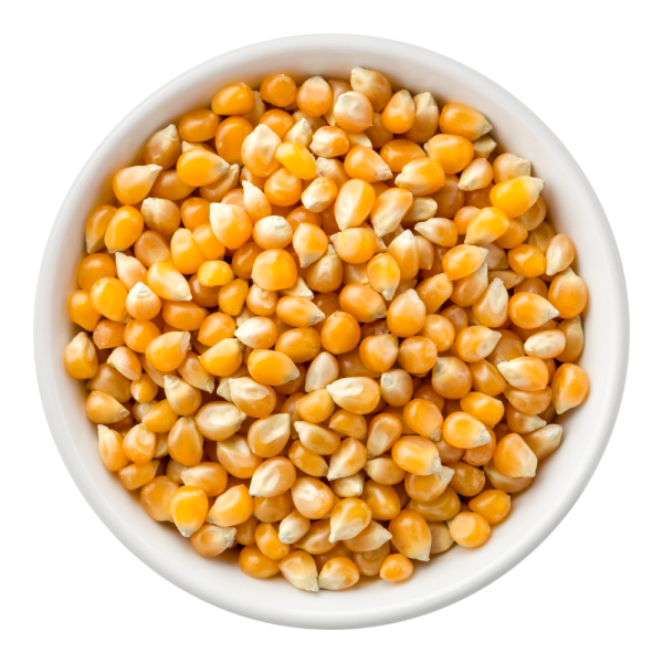 Maize (Corn)