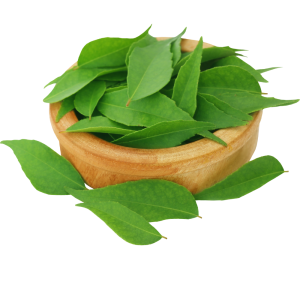 Curry Leaves