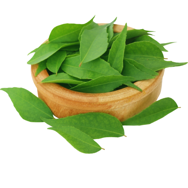 Curry Leaves