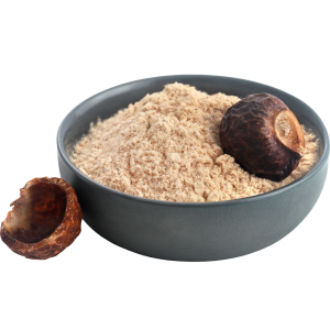 Aritha Powder (Soapnut)