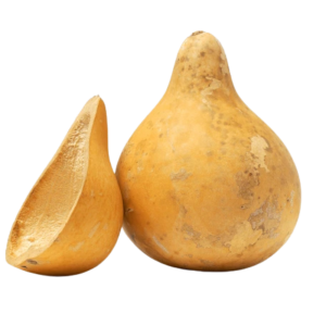 Dehydrated Bottle Gourd
