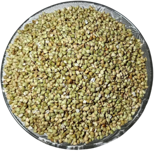 Buckwheat (Kuttu)