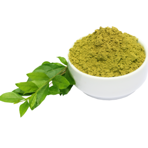 Basil Leaves Powder