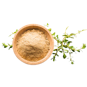 Brahmi Powder