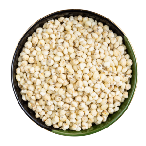 Sorghum (Jowar)