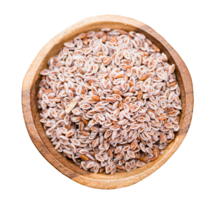 Psyllium Seeds