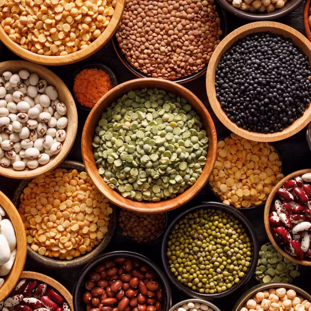 file-20230207-19-vtdp97